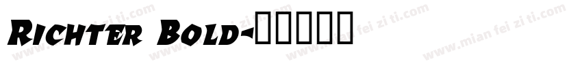Richter Bold字体转换